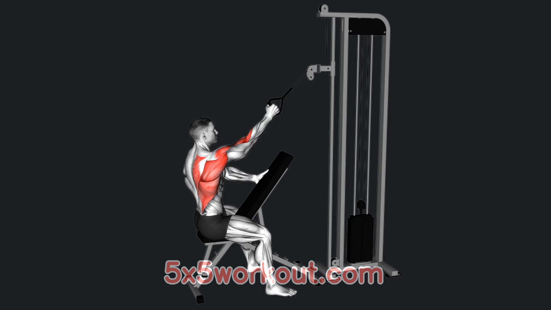 Strength and Bulk 5x5 Workout log
